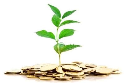 Options de financement de croissance à considérer pour votre entreprise technologique en herbe